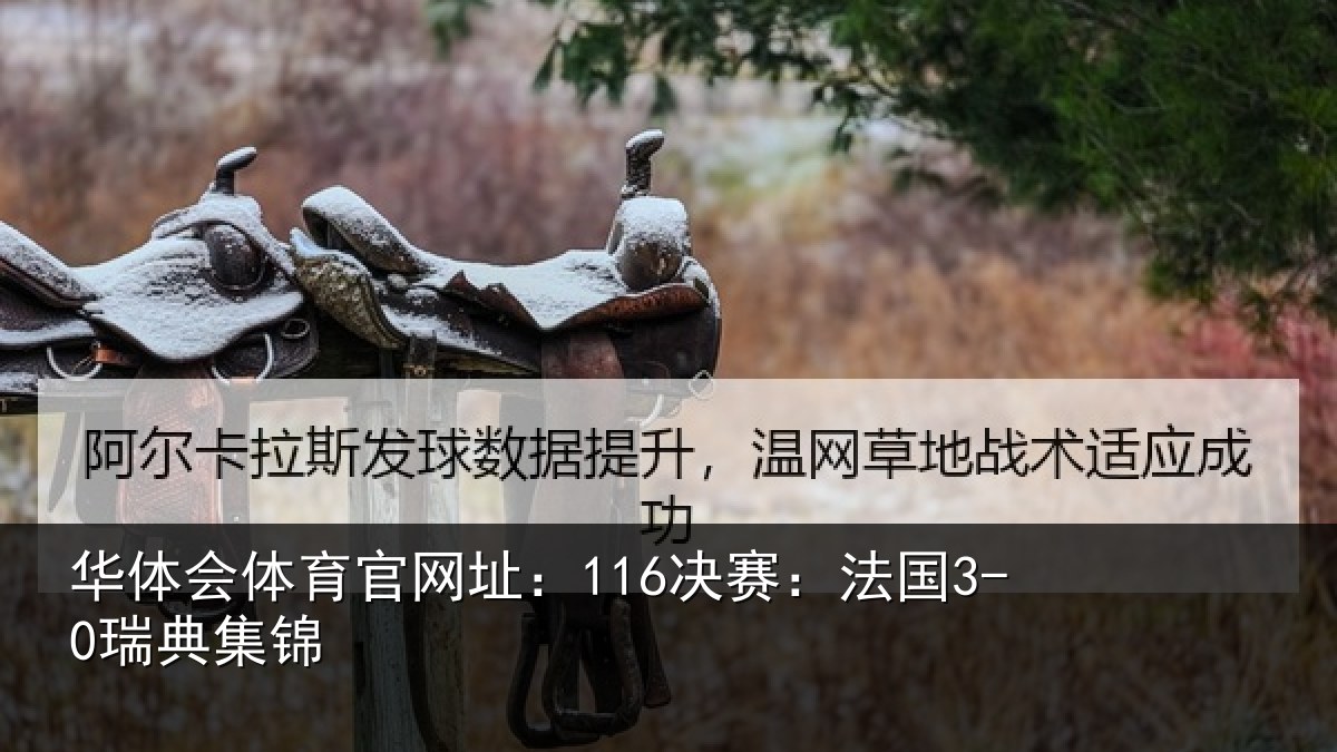 华体会体育官网址：116决赛：法国3-0瑞典集锦