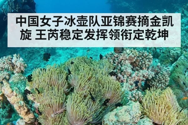 中国女子冰壶队亚锦赛摘金凯旋 王芮稳定发挥领衔定乾坤